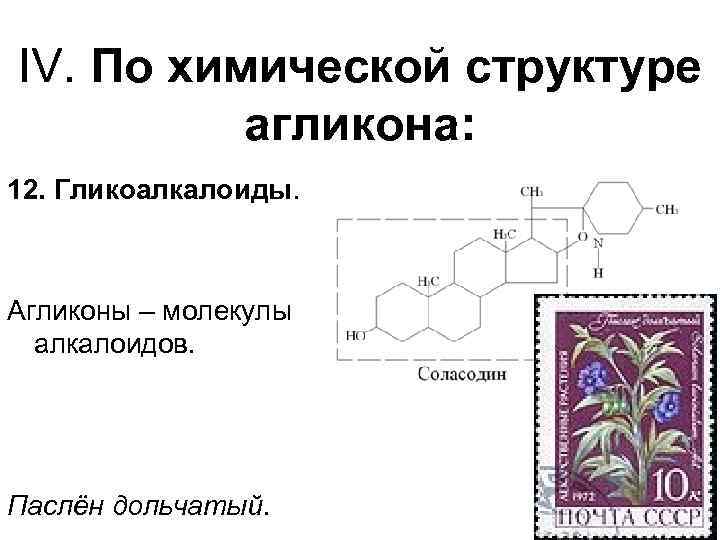 IV. По химической структуре агликона: 12. Гликоалкалоиды. Агликоны – молекулы алкалоидов. Паслён дольчатый. 