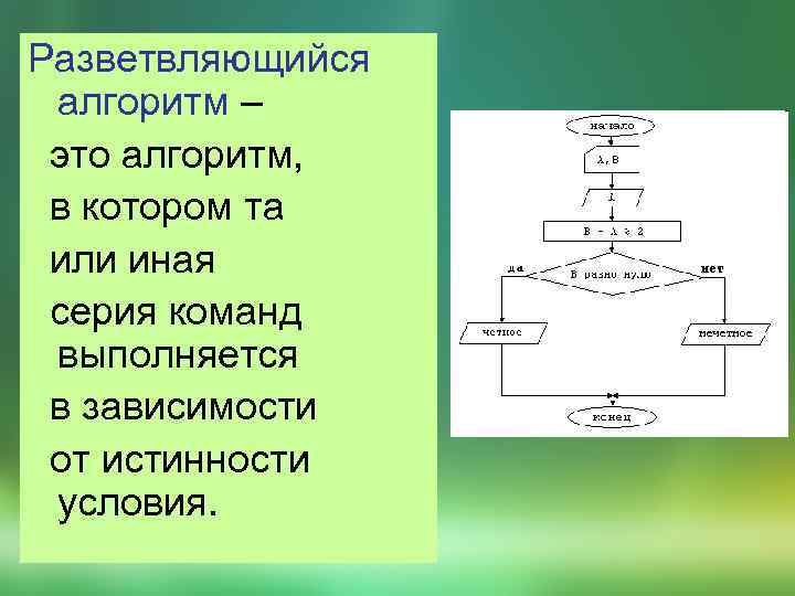Разветвляющийся алгоритм – это алгоритм, в котором та или иная серия команд выполняется в