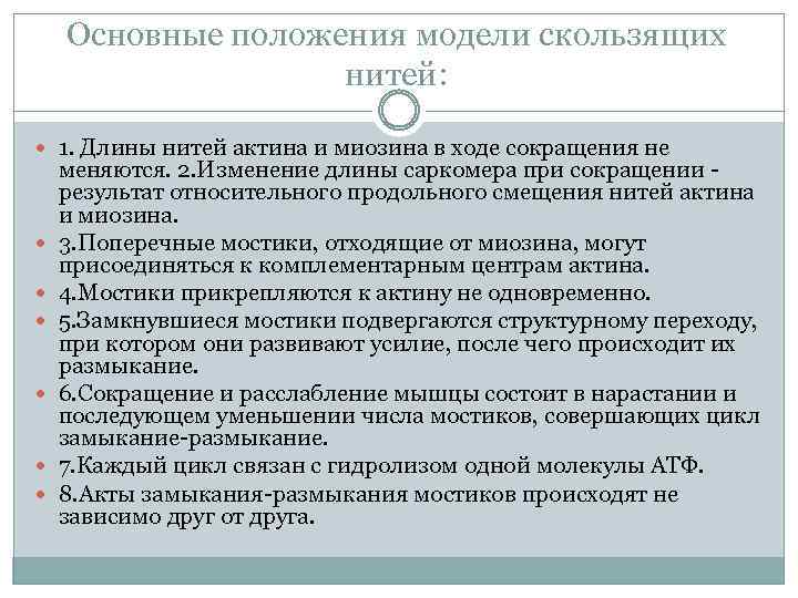 Основные положения модели скользящих нитей: 1. Длины нитей актина и миозина в ходе сокращения