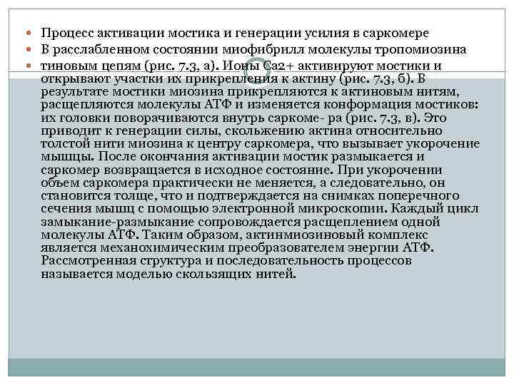  Процесс активации мостика и генерации усилия в саркомере В расслабленном состоянии миофибрилл молекулы