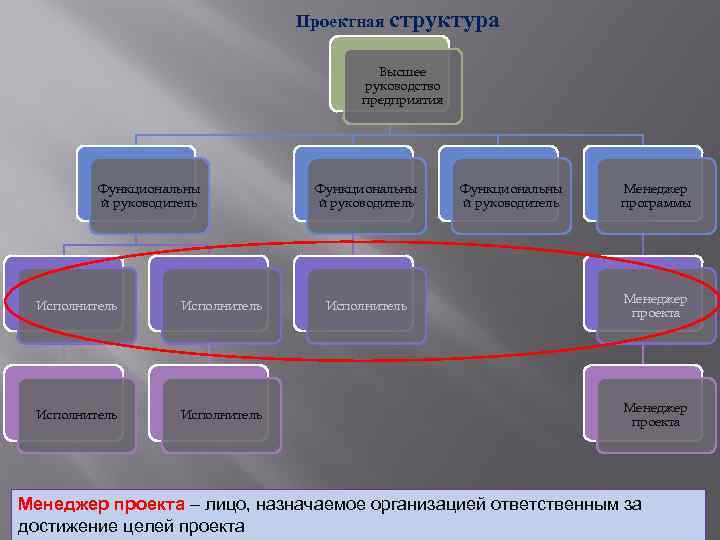 Проектная структура Высшее руководство предприятия Функциональны й руководитель Исполнитель Функциональны й руководитель Исполнитель Функциональны