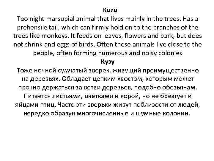 Kuzu Too night marsupial animal that lives mainly in the trees. Has a prehensile