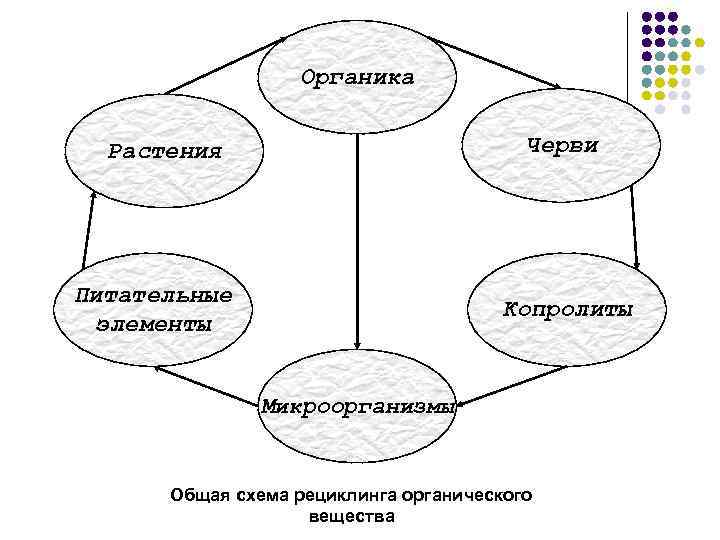 Органика Черви Растения Питательные элементы Копролиты Микроорганизмы Общая схема рециклинга органического вещества 