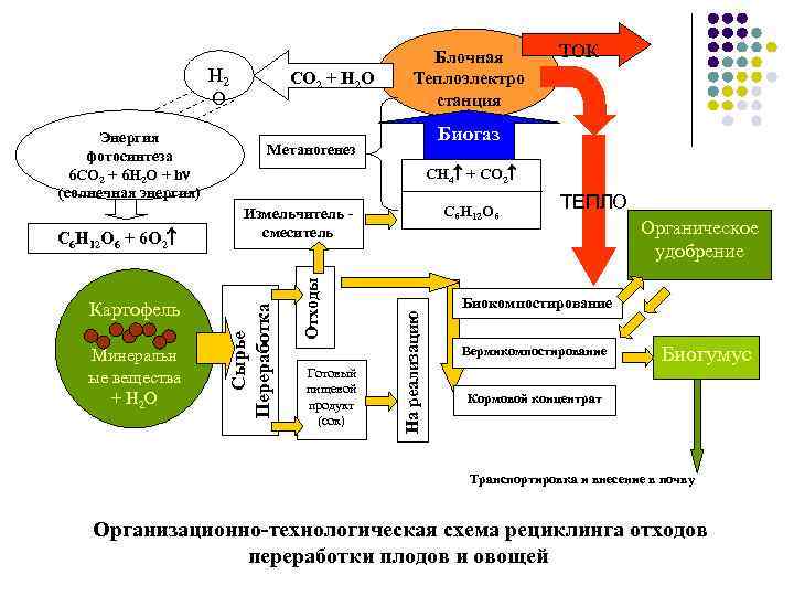 H 2 O Минеральн ые вещества + H 2 O C 6 H 12