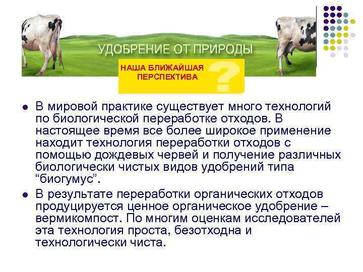  НАША БЛИЖАЙШАЯ ПЕРСПЕКТИВА l l В мировой практике существует много технологий по биологической
