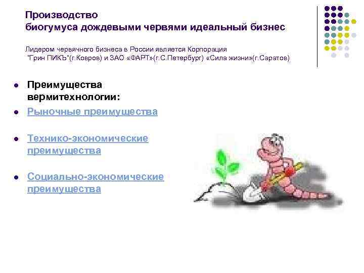Производство биогумуса дождевыми червями идеальный бизнес Лидером червячного бизнеса в России является Корпорация “Грин
