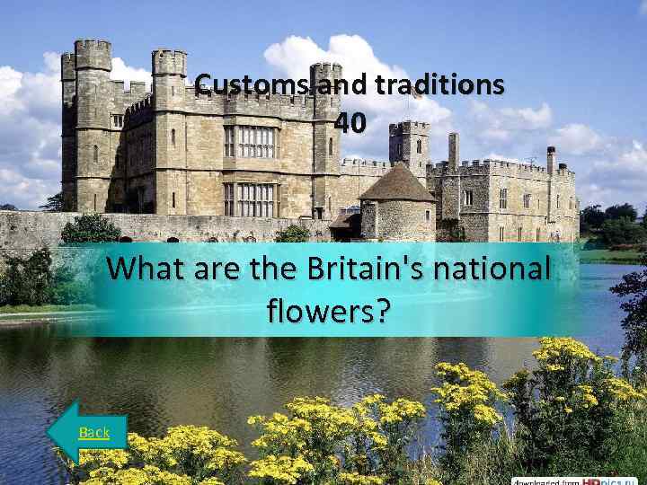 Customs and traditions 40 What are the Britain's national flowers? Back 