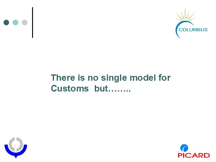 There is no single model for Customs but……. . 