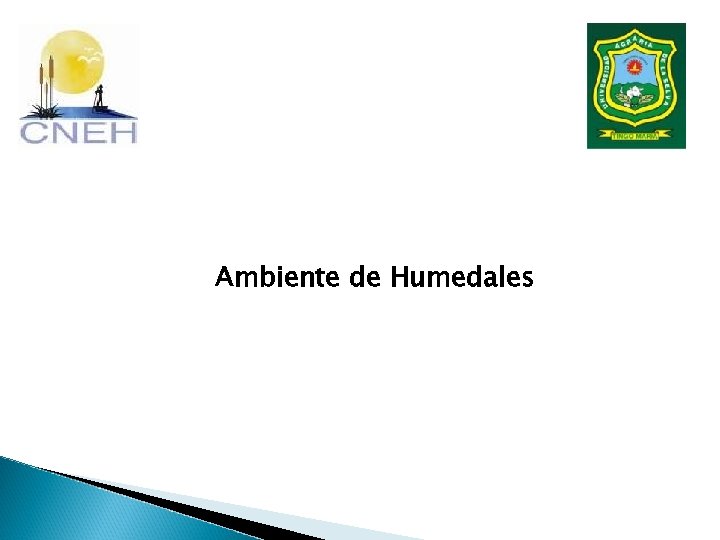 Ambiente de Humedales 