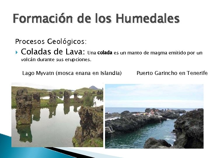 Formación de los Humedales Procesos Geológicos: Coladas de Lava: Una colada es un manto