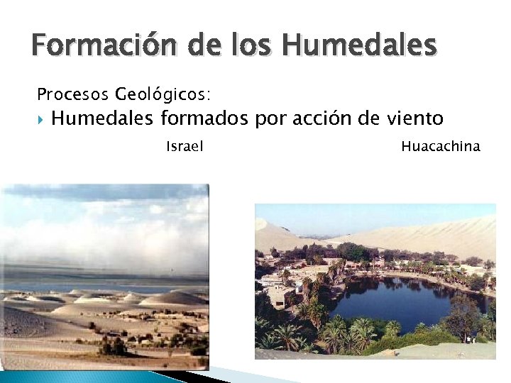 Formación de los Humedales Procesos Geológicos: Humedales formados por acción de viento Israel Huacachina