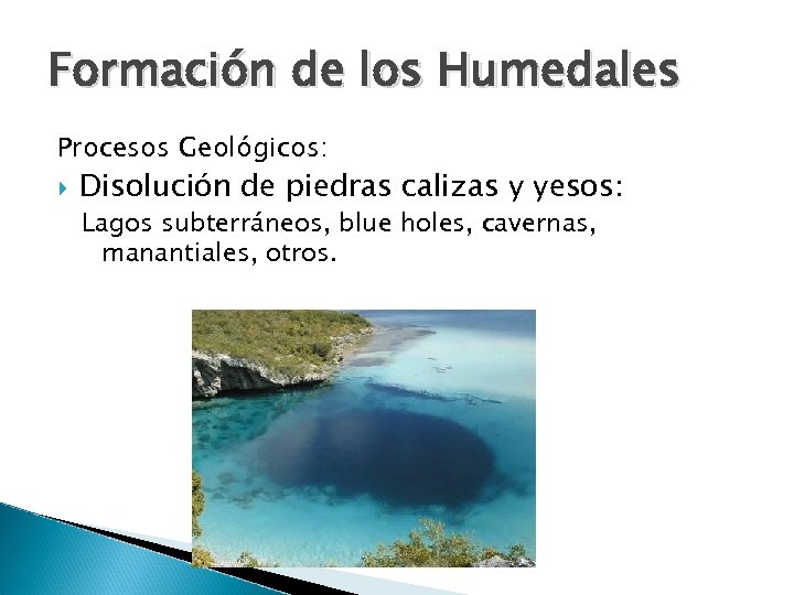 Formación de los Humedales Procesos Geológicos: Disolución de piedras calizas y yesos: Lagos subterráneos,