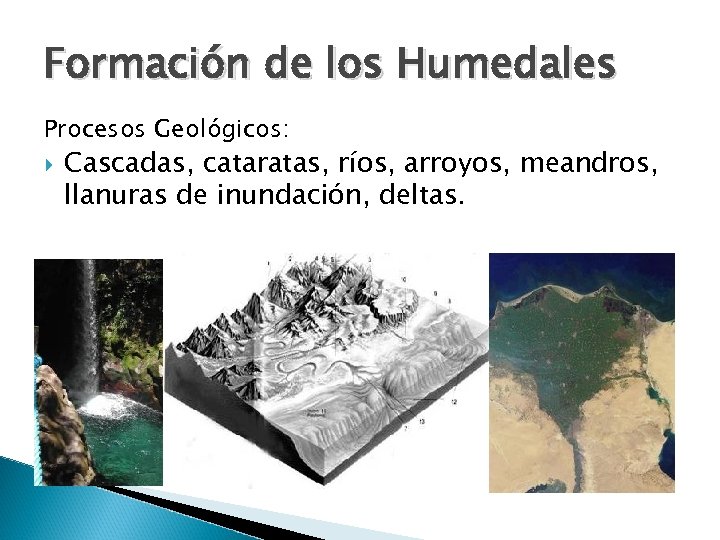 Formación de los Humedales Procesos Geológicos: Cascadas, cataratas, ríos, arroyos, meandros, llanuras de inundación,