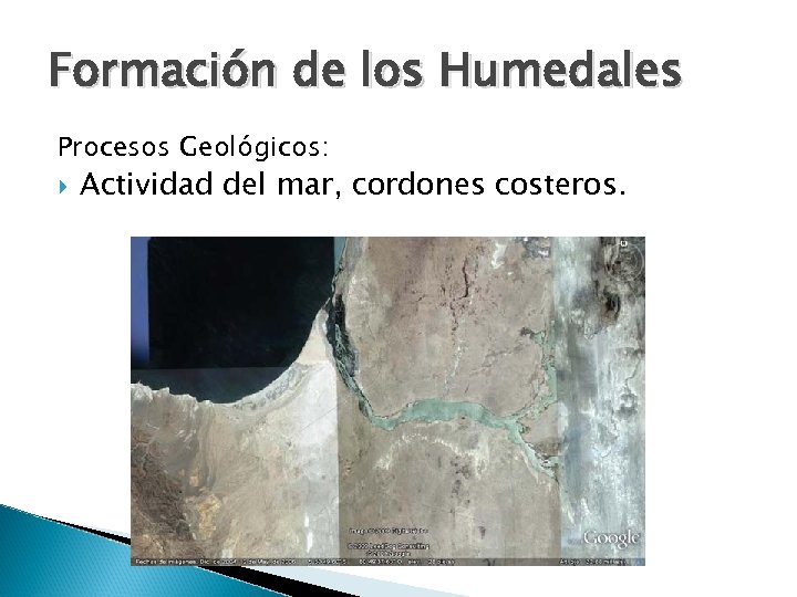 Formación de los Humedales Procesos Geológicos: Actividad del mar, cordones costeros. 