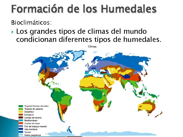 Formación de los Humedales Bioclimáticos: Los grandes tipos de climas del mundo condicionan diferentes