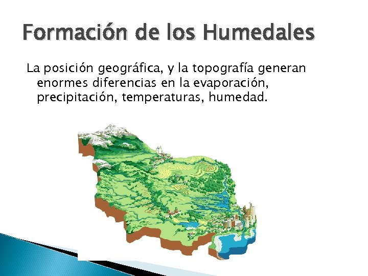 Formación de los Humedales La posición geográfica, y la topografía generan enormes diferencias en
