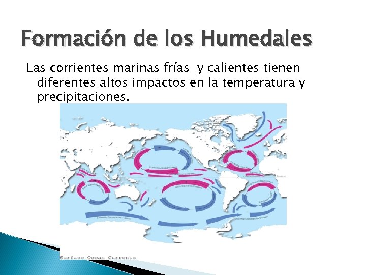 Formación de los Humedales Las corrientes marinas frías y calientes tienen diferentes altos impactos