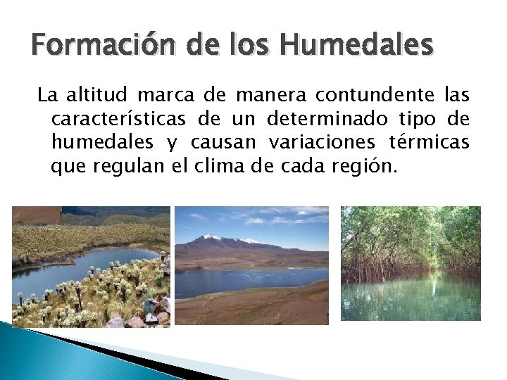 Formación de los Humedales La altitud marca de manera contundente las características de un