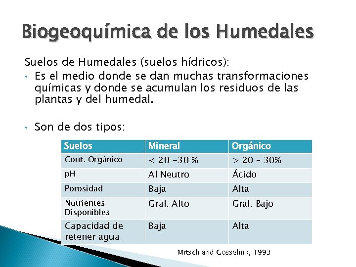 Biogeoquímica de los Humedales Suelos de Humedales (suelos hídricos): • Es el medio donde