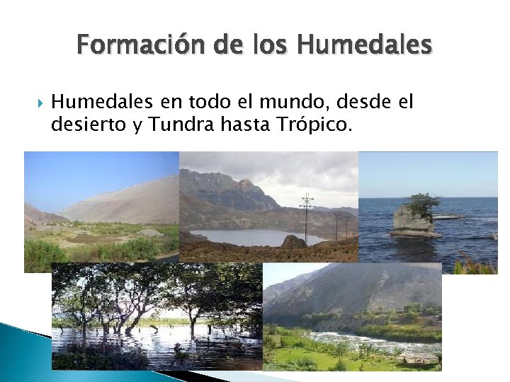 Formación de los Humedales en todo el mundo, desde el desierto y Tundra hasta
