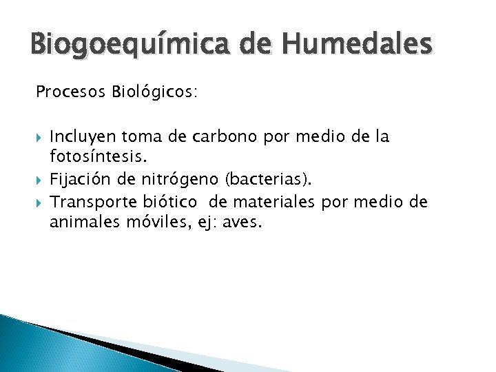 Biogoequímica de Humedales Procesos Biológicos: Incluyen toma de carbono por medio de la fotosíntesis.