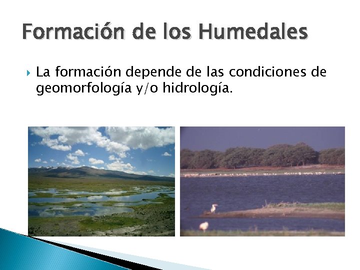 Formación de los Humedales La formación depende de las condiciones de geomorfología y/o hidrología.