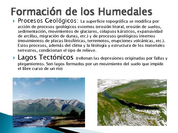 Formación de los Humedales Procesos Geológicos: Lagos Tectónicos La superficie topográfica se modifica por