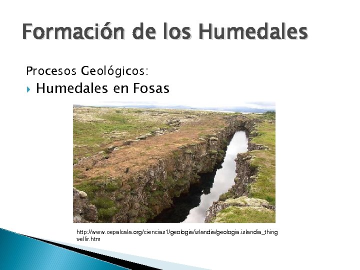 Formación de los Humedales Procesos Geológicos: Humedales en Fosas http: //www. cepalcala. org/ciencias 1/geologia/islandia/geologia.