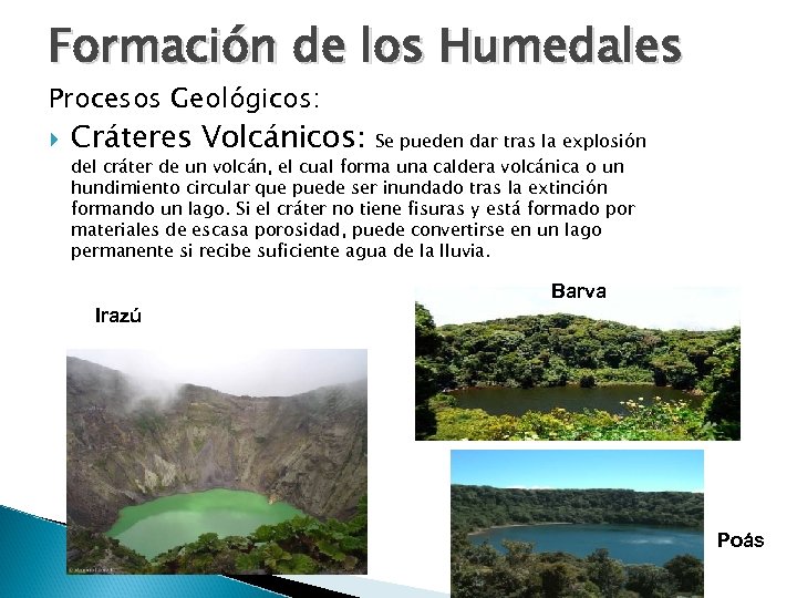 Formación de los Humedales Procesos Geológicos: Cráteres Volcánicos: Se pueden dar tras la explosión