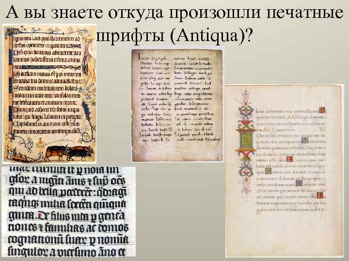 А вы знаете откуда произошли печатные шрифты (Antiqua)? 