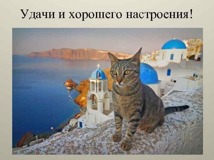 Удачи и хорошего настроения! 