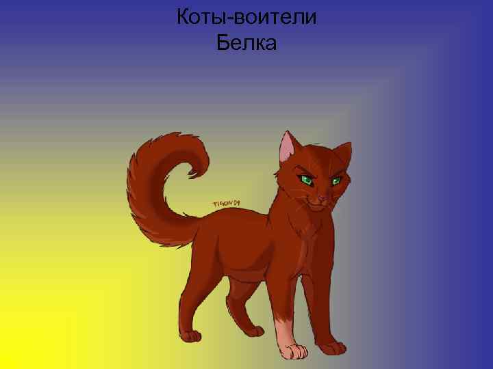 Коты-воители Белка 