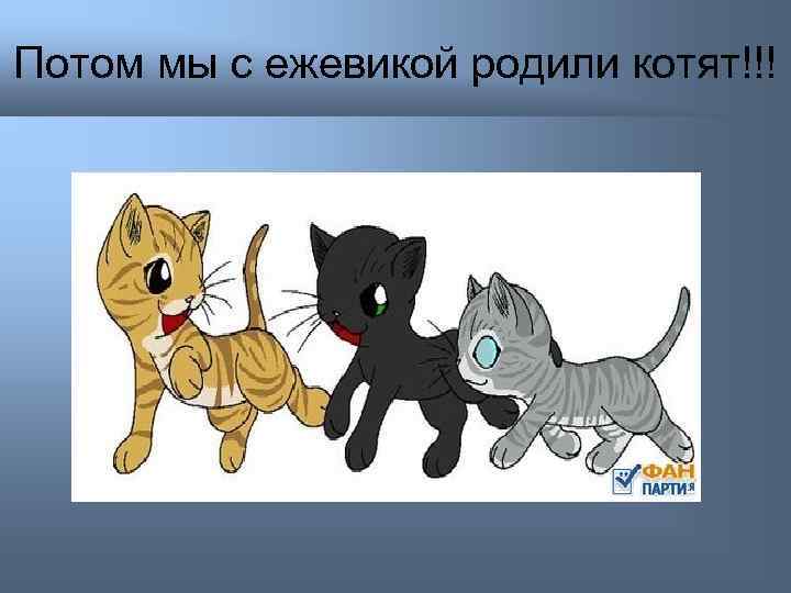 Потом мы с ежевикой родили котят!!! 