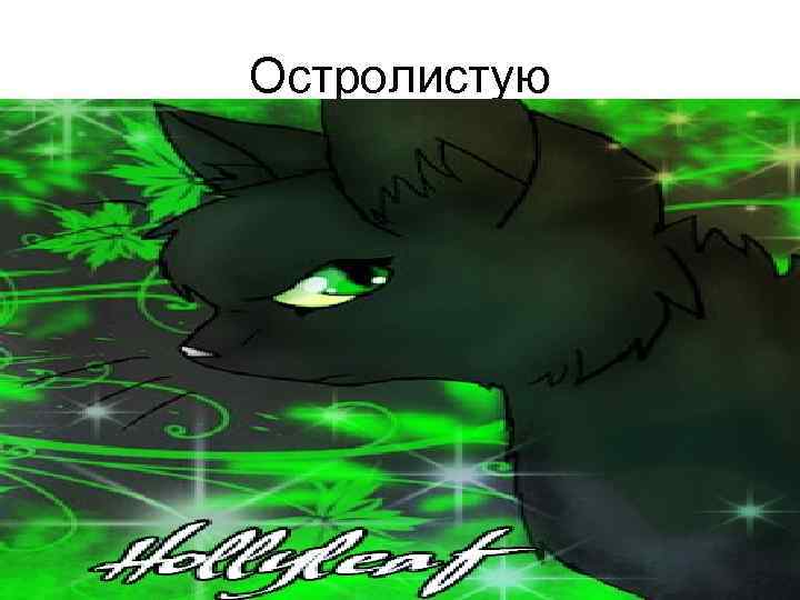 Остролистую 