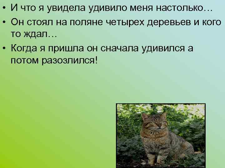  • И что я увидела удивило меня настолько… • Он стоял на поляне