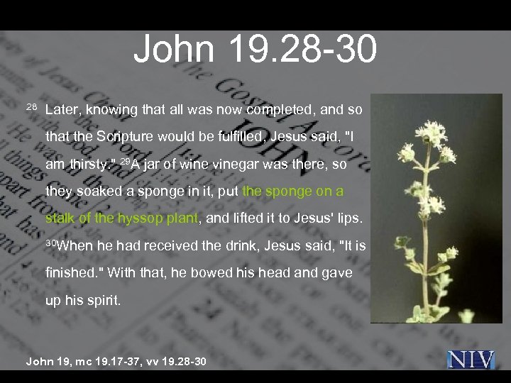 John 19. 28 -30 28 Later, knowing that all was now completed, and so