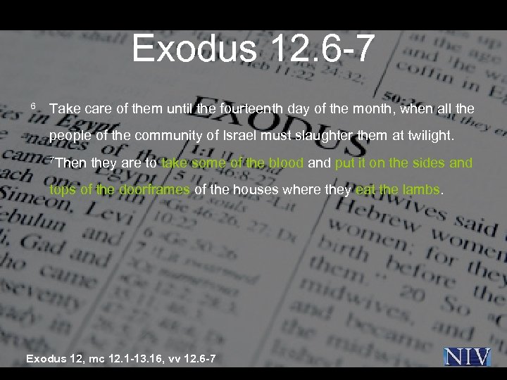 Exodus 12. 6 -7 6 Take care of them until the fourteenth day of