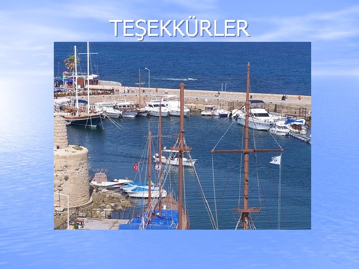 TEŞEKKÜRLER 