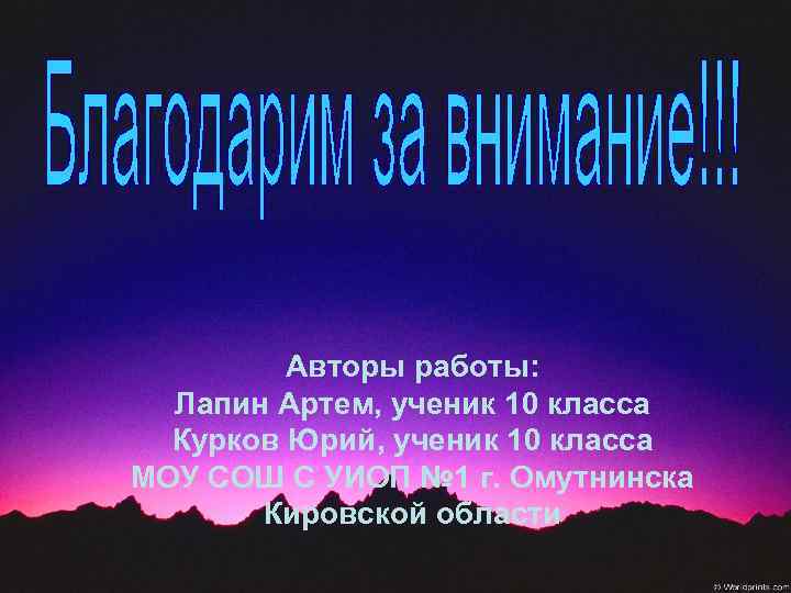 Авторы работы: Лапин Артем, ученик 10 класса Курков Юрий, ученик 10 класса МОУ СОШ