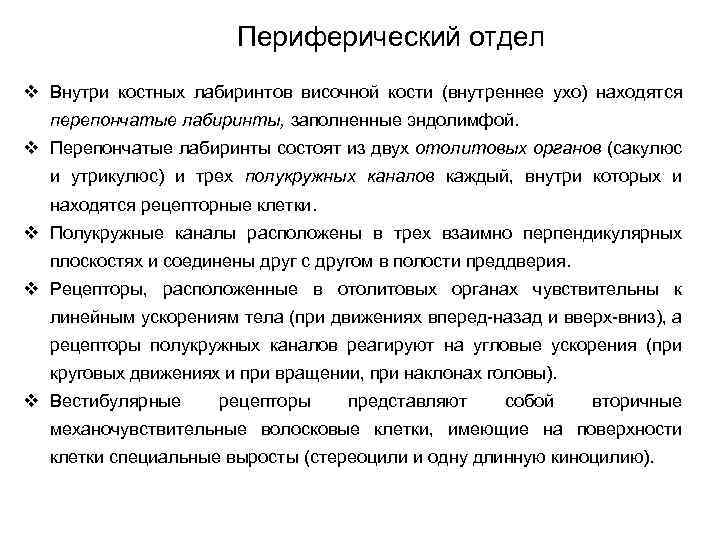 Периферический отдел v Внутри костных лабиринтов височной кости (внутреннее ухо) находятся перепончатые лабиринты, заполненные