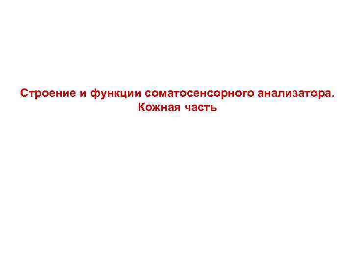 Строение и функции соматосенсорного анализатора. Кожная часть 