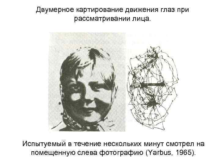 Движение глаз. Движение глаз при рассматривании лица. Схема движения глаз по изображению. Траектория движения глаза при рассматривании картины. Плавные движения глаз.