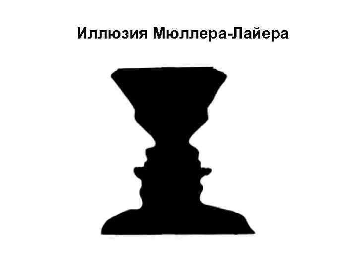 Иллюзия Мюллера-Лайера 