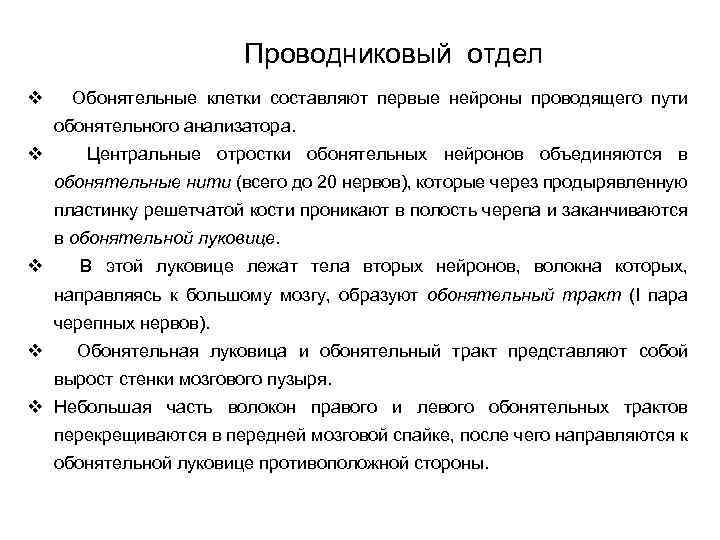 Проводниковый отдел v Обонятельные клетки составляют первые нейроны проводящего пути обонятельного анализатора. v Центральные