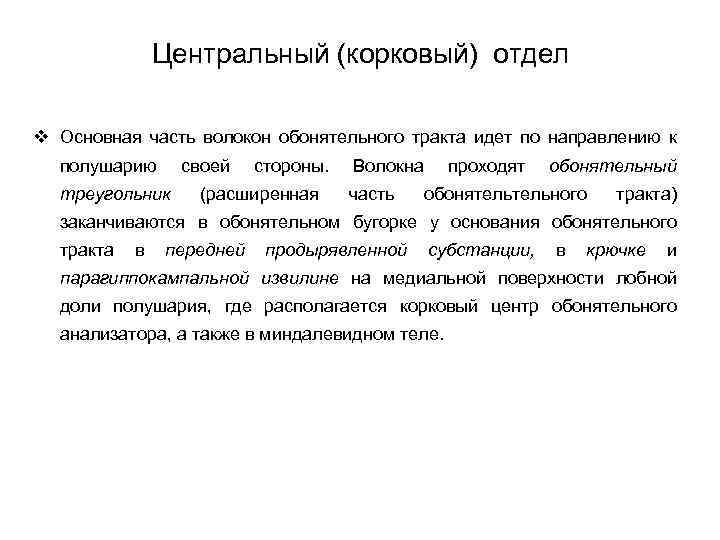 Центральный (корковый) отдел v Основная часть волокон обонятельного тракта идет по направлению к полушарию