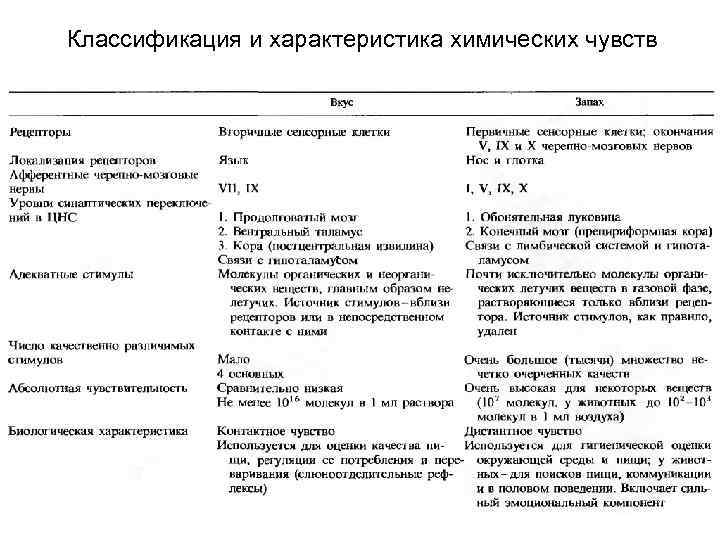 Классификация и характеристика химических чувств 