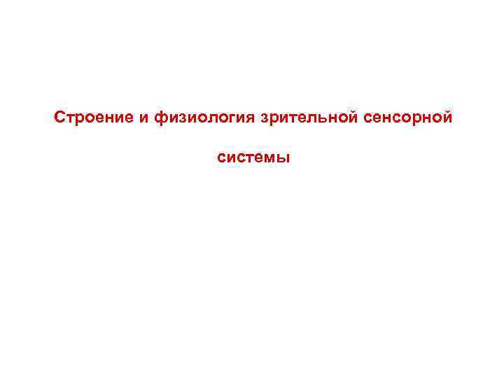 Строение и физиология зрительной сенсорной системы 