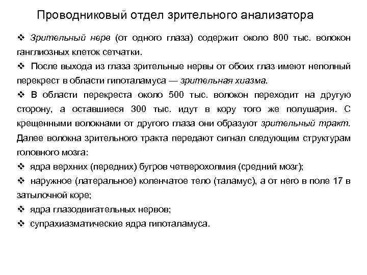 Проводниковый отдел зрительного анализатора v Зрительный нерв (от одного глаза) содержит около 800 тыс.