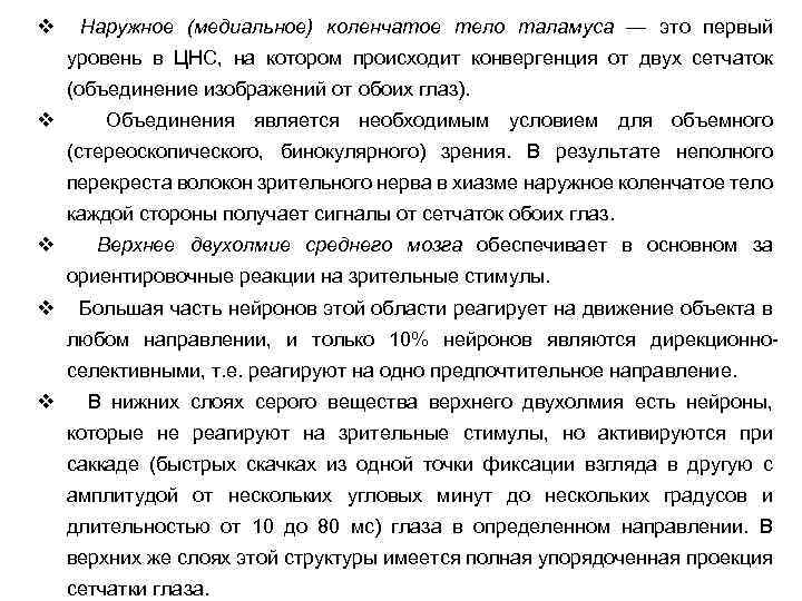 v Наружное (медиальное) коленчатое тело таламуса — это первый уровень в ЦНС, на котором