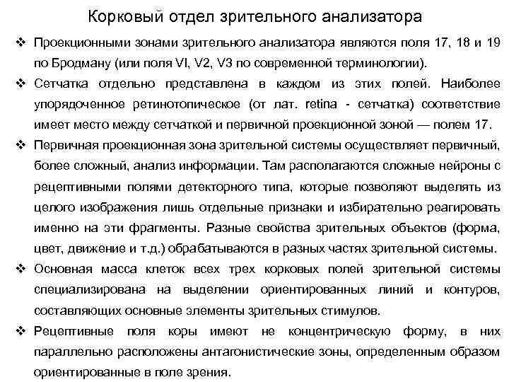 Корковый отдел зрительного анализатора v Проекционными зонами зрительного анализатора являются поля 17, 18 и